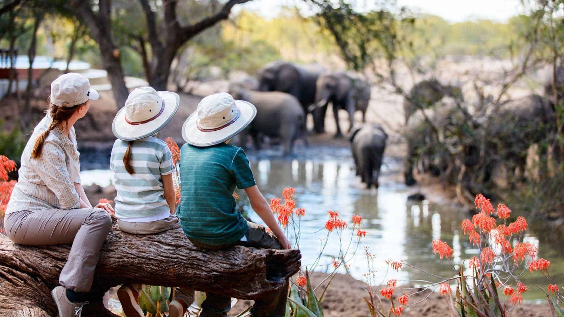 A mother with his son and dauhter looking the elephant during the safari