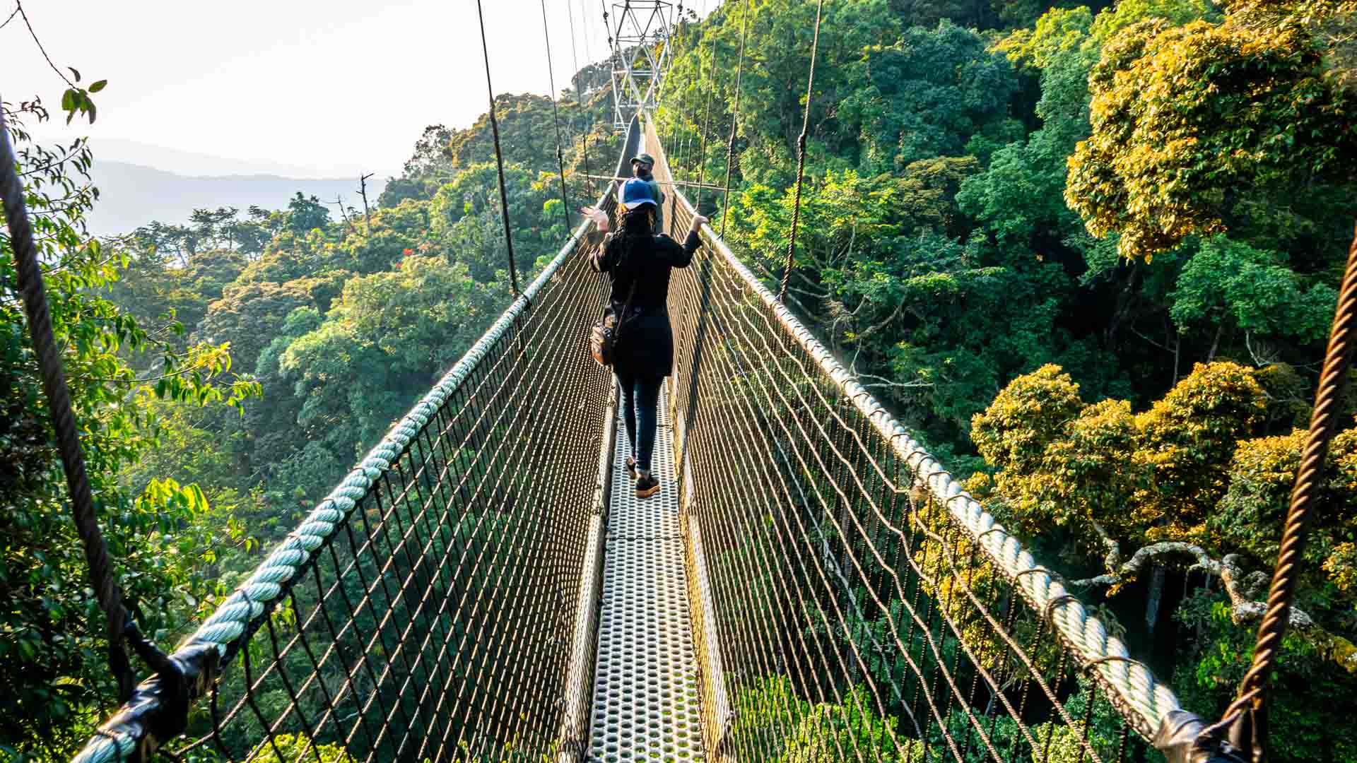 A Climber Nyungwe Forest National Park